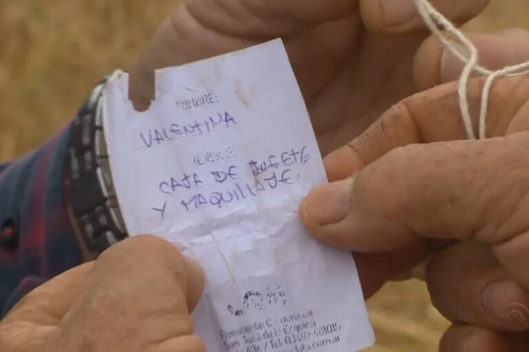 Balão com pedido de criança argentina cai em lavoura no RS e história tem desfecho emocionante